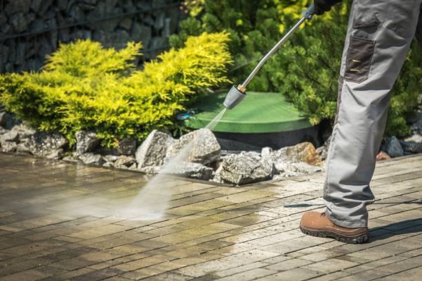 Best Pre-Holiday Cleaning  in Rochester, NY